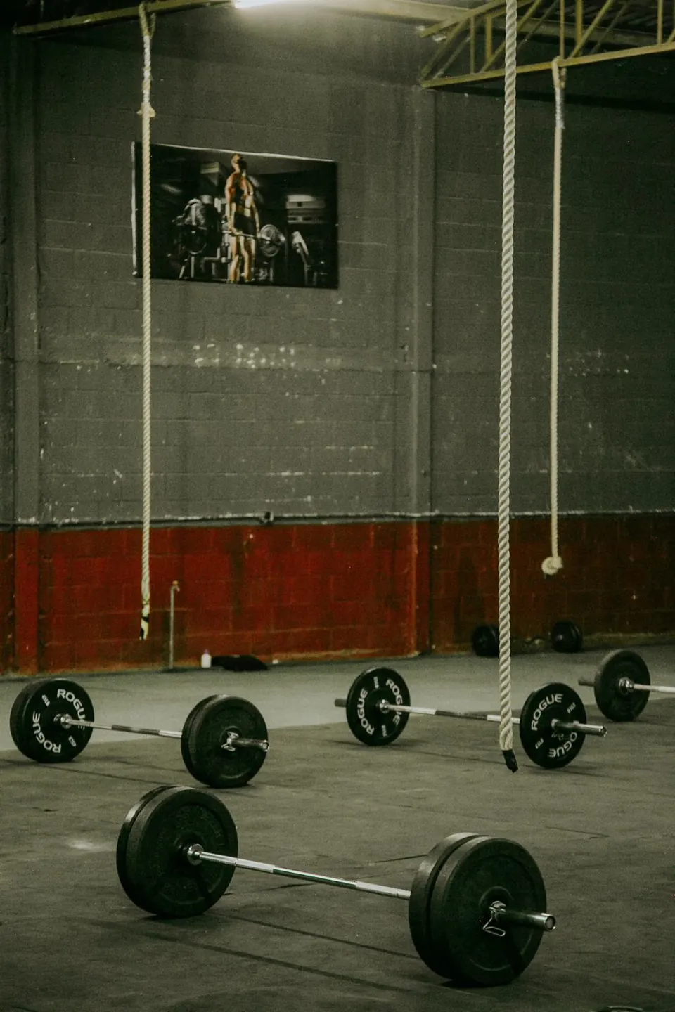 Barras olímpicas con discos sobre el piso del gimnasio